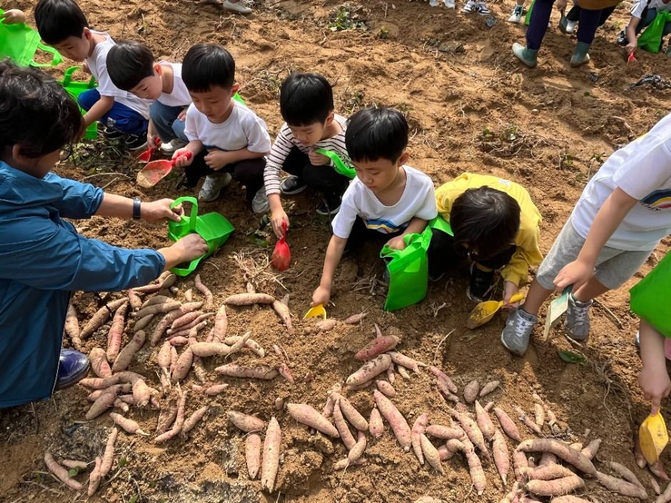 Cheongwon Organic Life Festival — official photograph 2