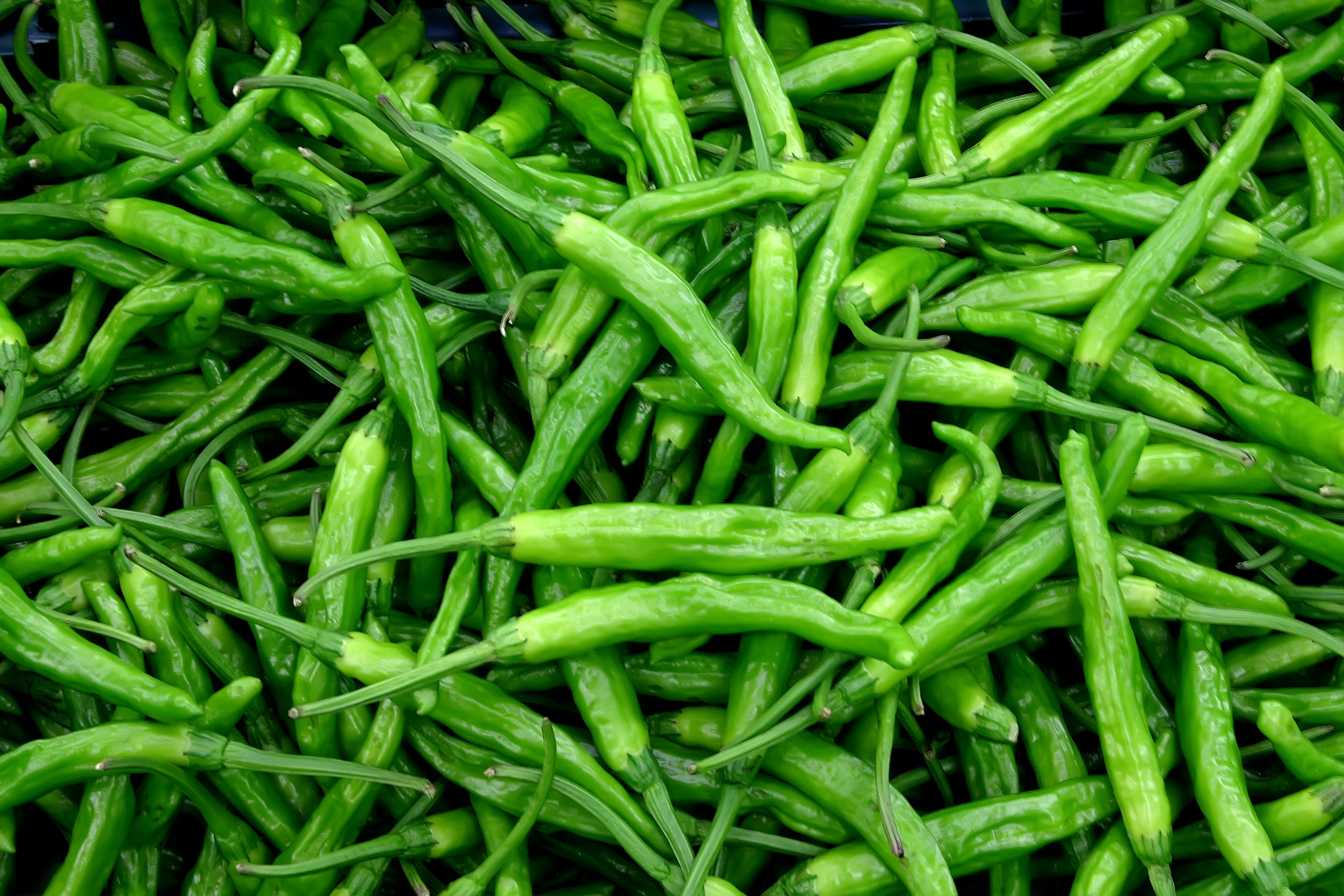 Cheongyang chili (Cheongyang pepper)