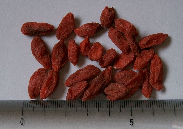 Cheongyang Chili and Goji Berry Festival — official photograph 4