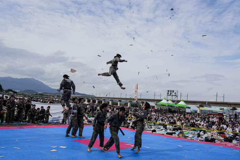 Chilgok Nakdong River Peace Festival — official photograph 3