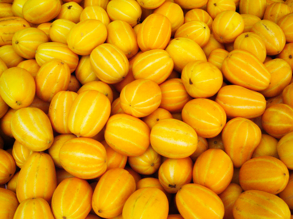Chilgok honey-bee melon