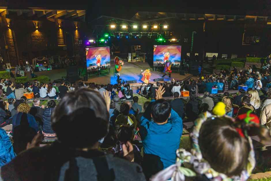Chuncheon Puppet Festival — official photograph 5