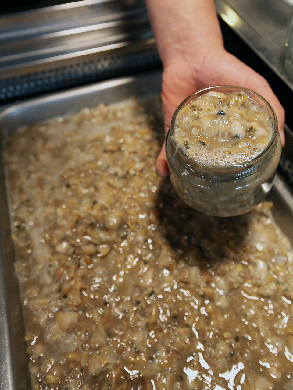 Ganggyeong jeotgal (salted seafood)