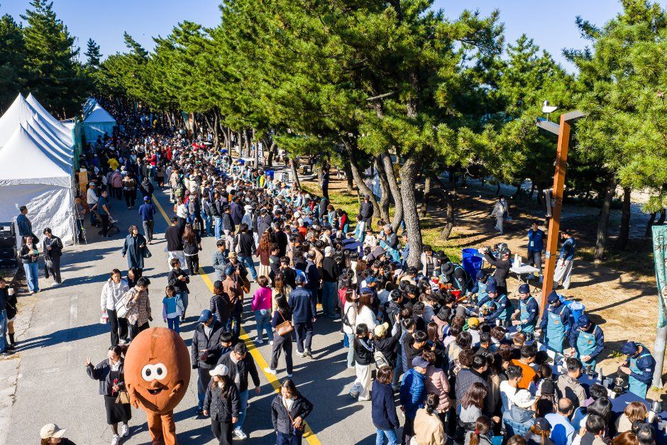 Gangneung Coffee Festival — official photograph 5