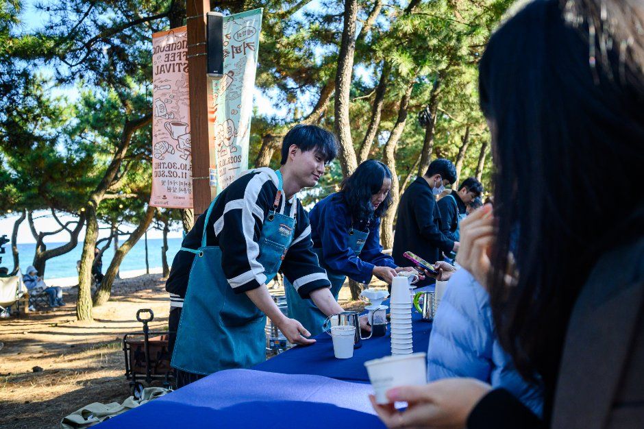 Gangneung Coffee Festival — official photograph 1