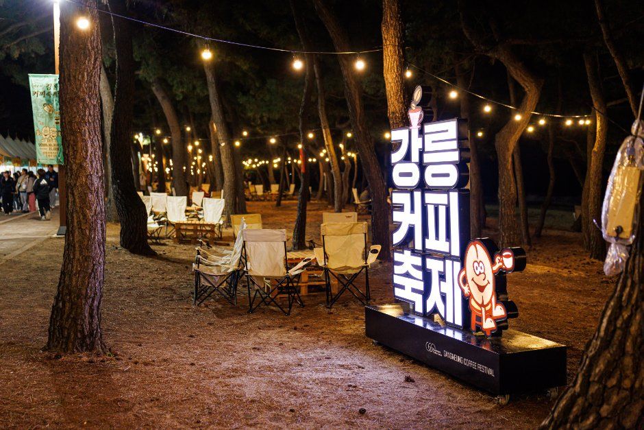 Gangneung Coffee Festival — official photograph 6