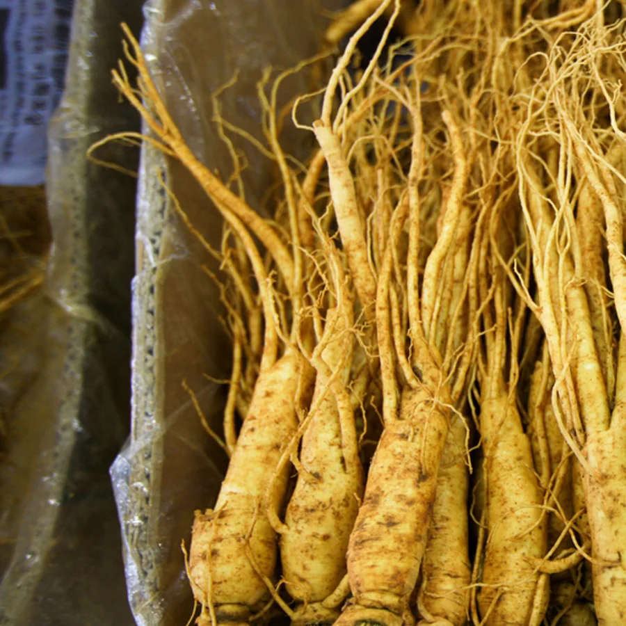 Geumsan ginseng