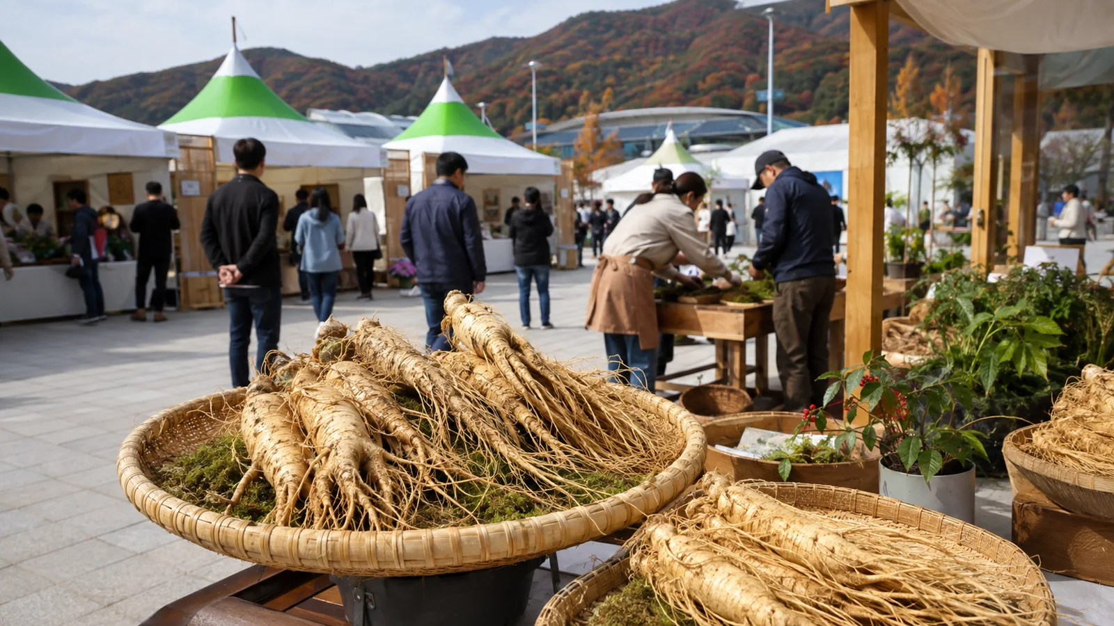 Geumsan World K-Insam Festival festival