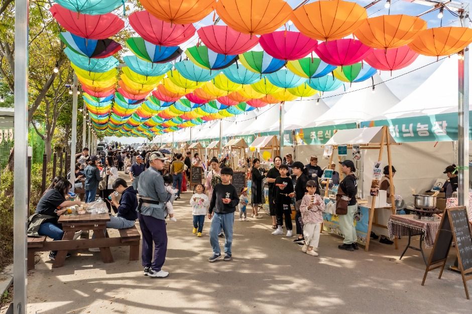 Gimje Horizon Festival — official photograph 1