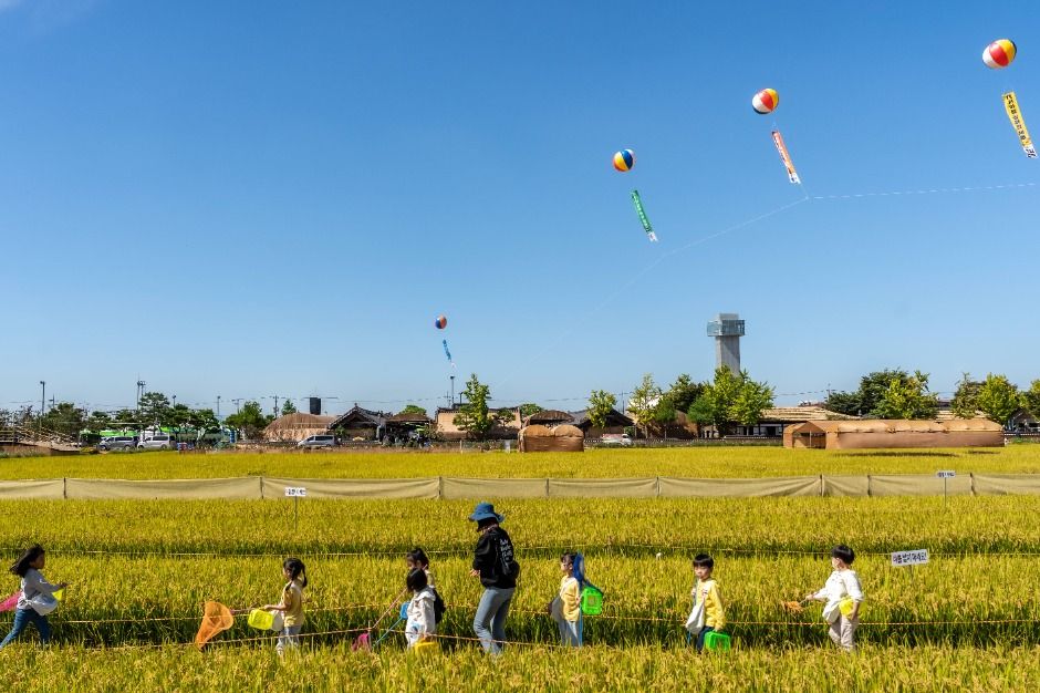 Gimje Horizon Festival — official photograph 2