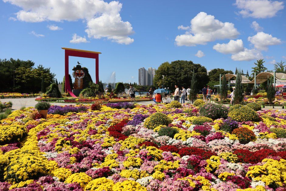Goyang Autumn Flower Festival — official photograph 4