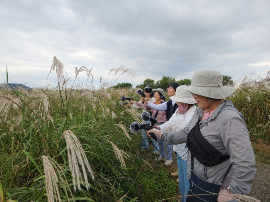 Gwangju Seochang Silver Grass Festival — official photograph 4