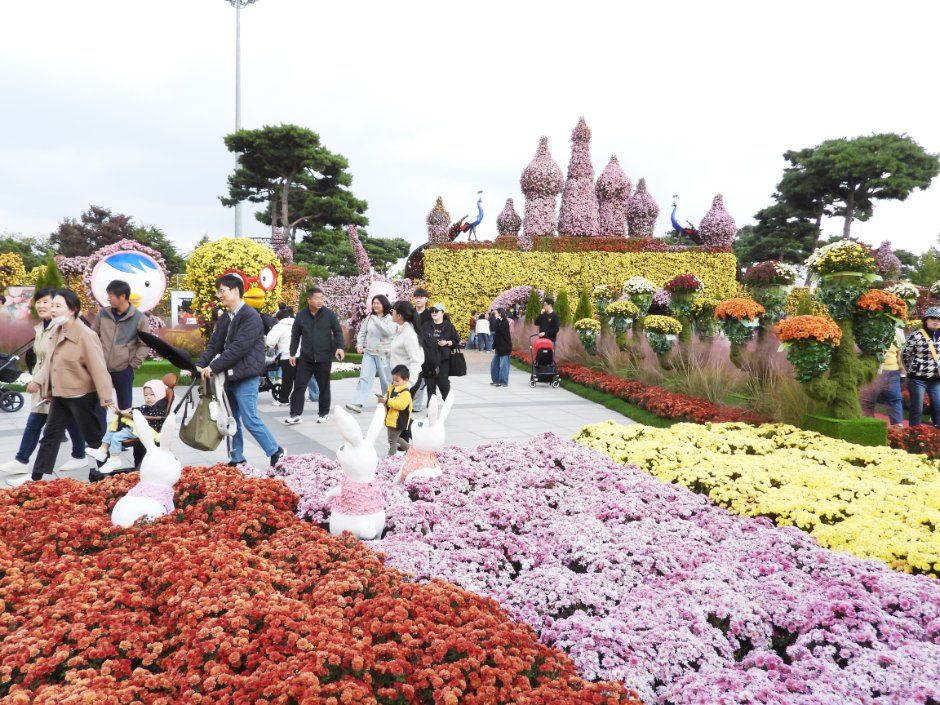 Grand Chrysanthemum Festival