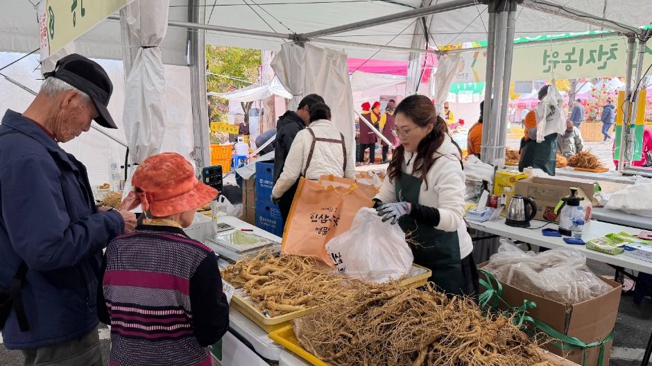 Hongcheon Ginseng & Hanwoo Myeongpum Festival — official photograph 1