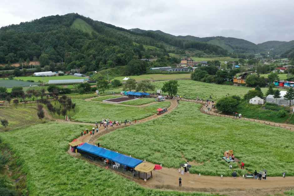Hyoseok Cultural Festival — official photograph 2
