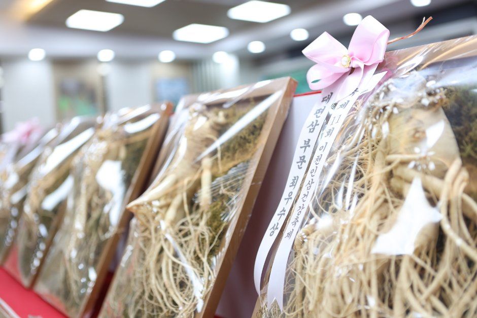 Icheon Ginseng Festival — official photograph 3