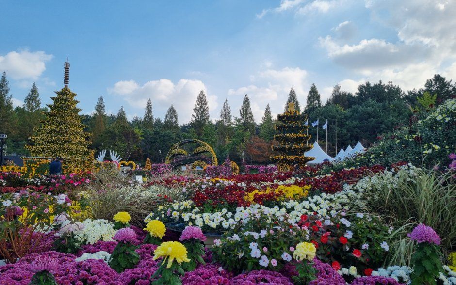 Iksan Gukhwa Festival — official photograph 4