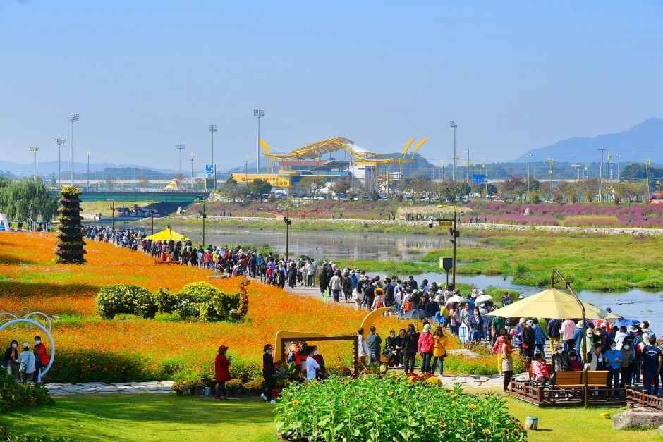 Jangseong Hwangryonggang Autumn Flower Festival — official photograph 2