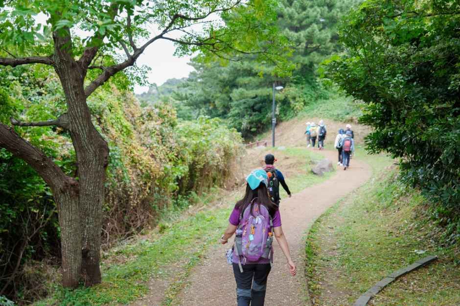 Jeju Olle Walking Festival — official photograph 1