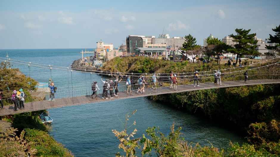 Jeju Olle Walking Festival — official photograph 5