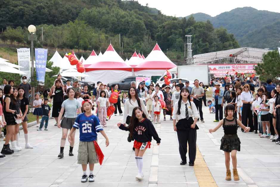 Jinan Red Ginseng Festival — official photograph 1