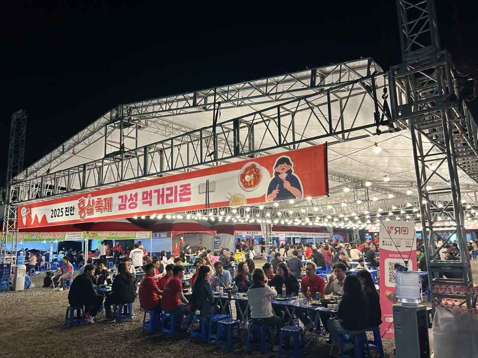 Jinan Red Ginseng Festival — official photograph 4