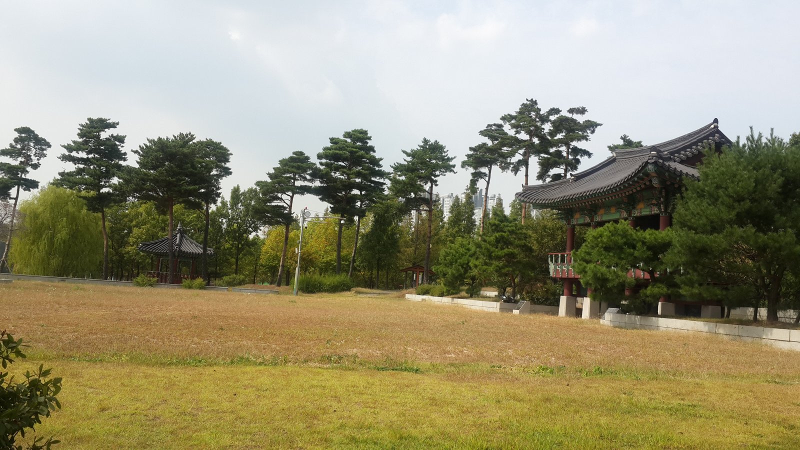 Kim Hongdo Festival festival