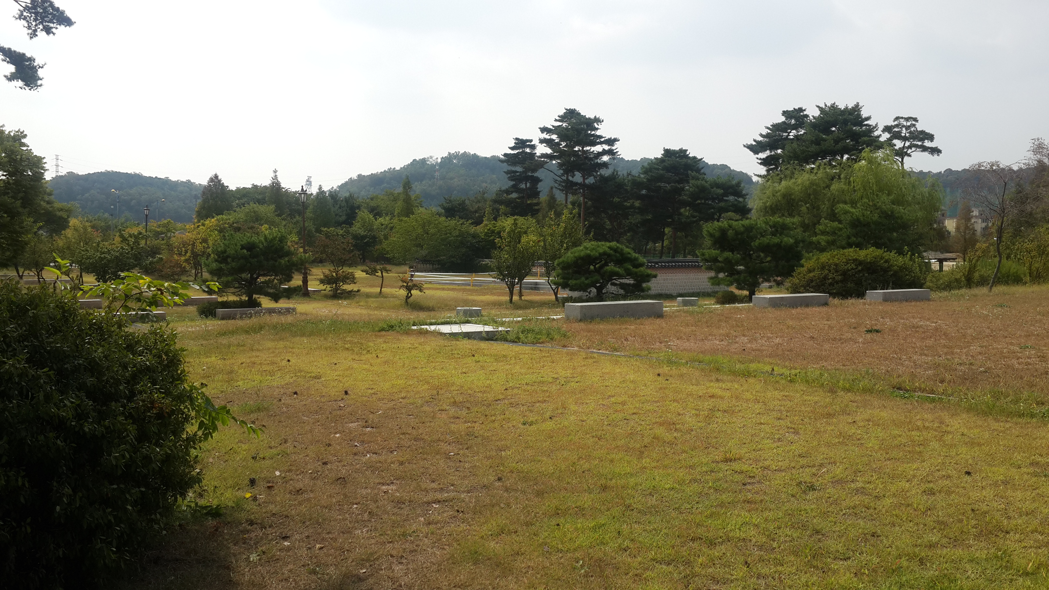 Kim Hongdo Festival — official photograph 1