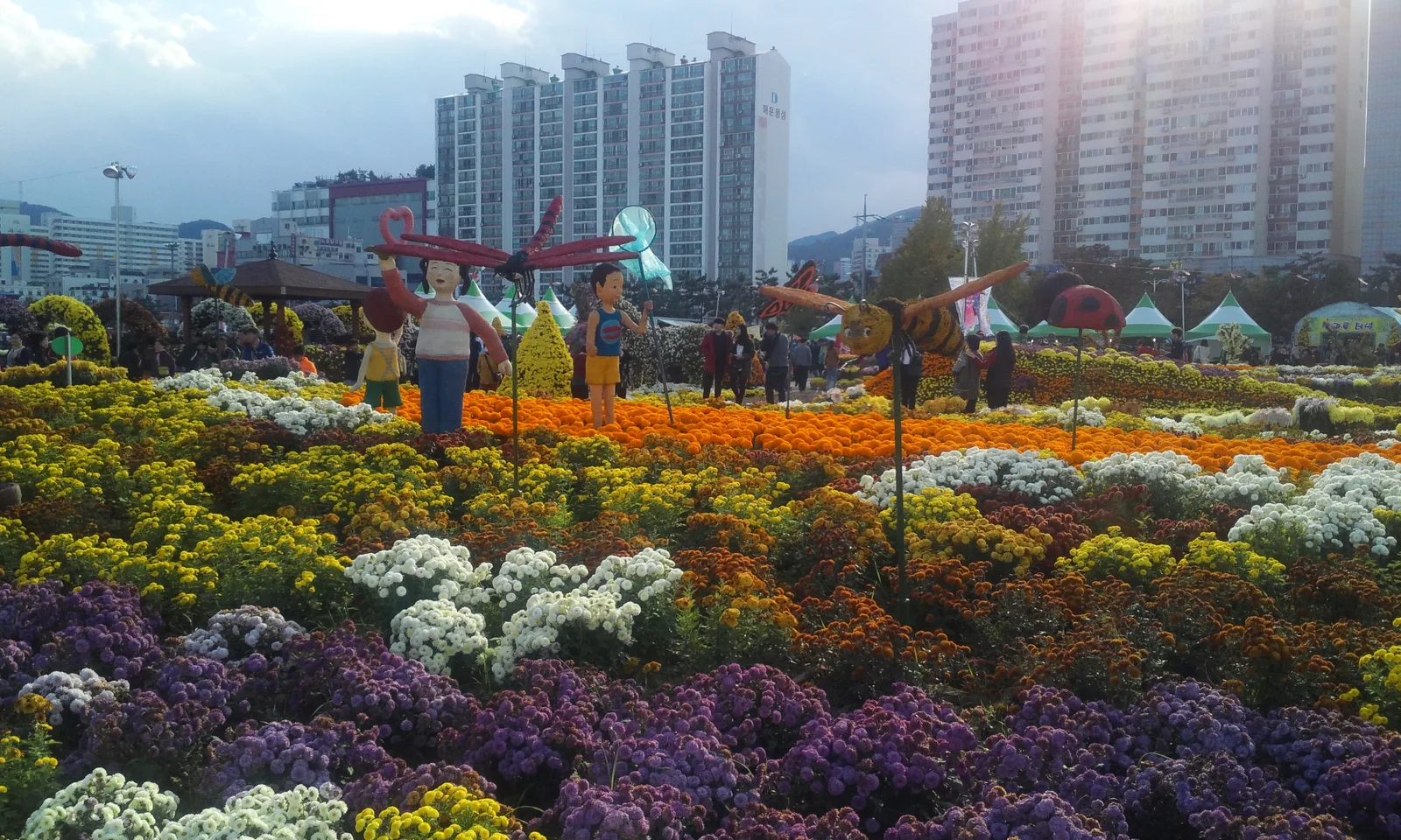 Masan Gagopa Chrysanthemum Festival festival