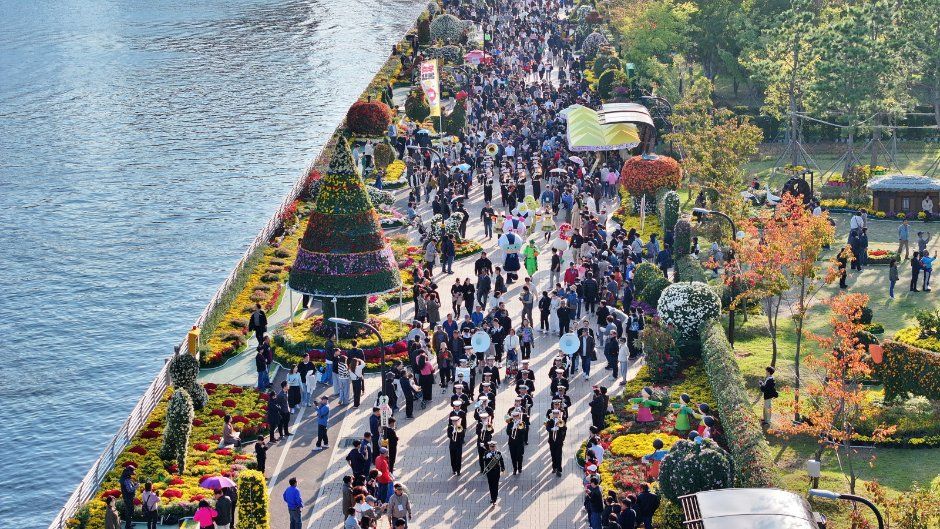 Masan Gagopa Chrysanthemum Festival — official photograph 5