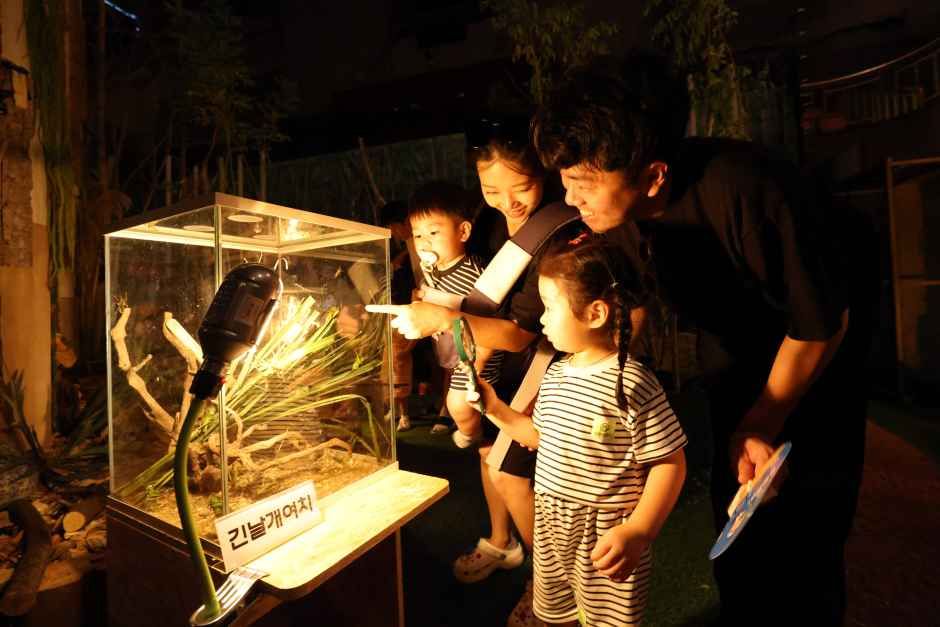 Muju Firefly Festival — official photograph 4