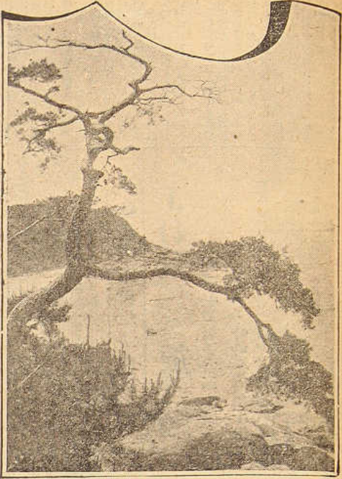 Neungheodae Festival — official photograph 1
