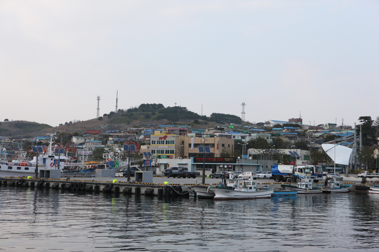 Pohang Sunrise Noodle Festival — official photograph 1