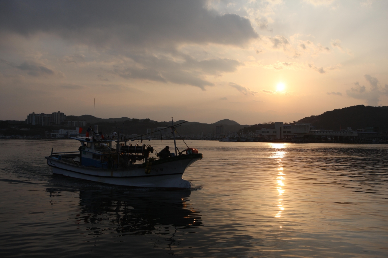 Pohang Sunrise Noodle Festival — official photograph 3
