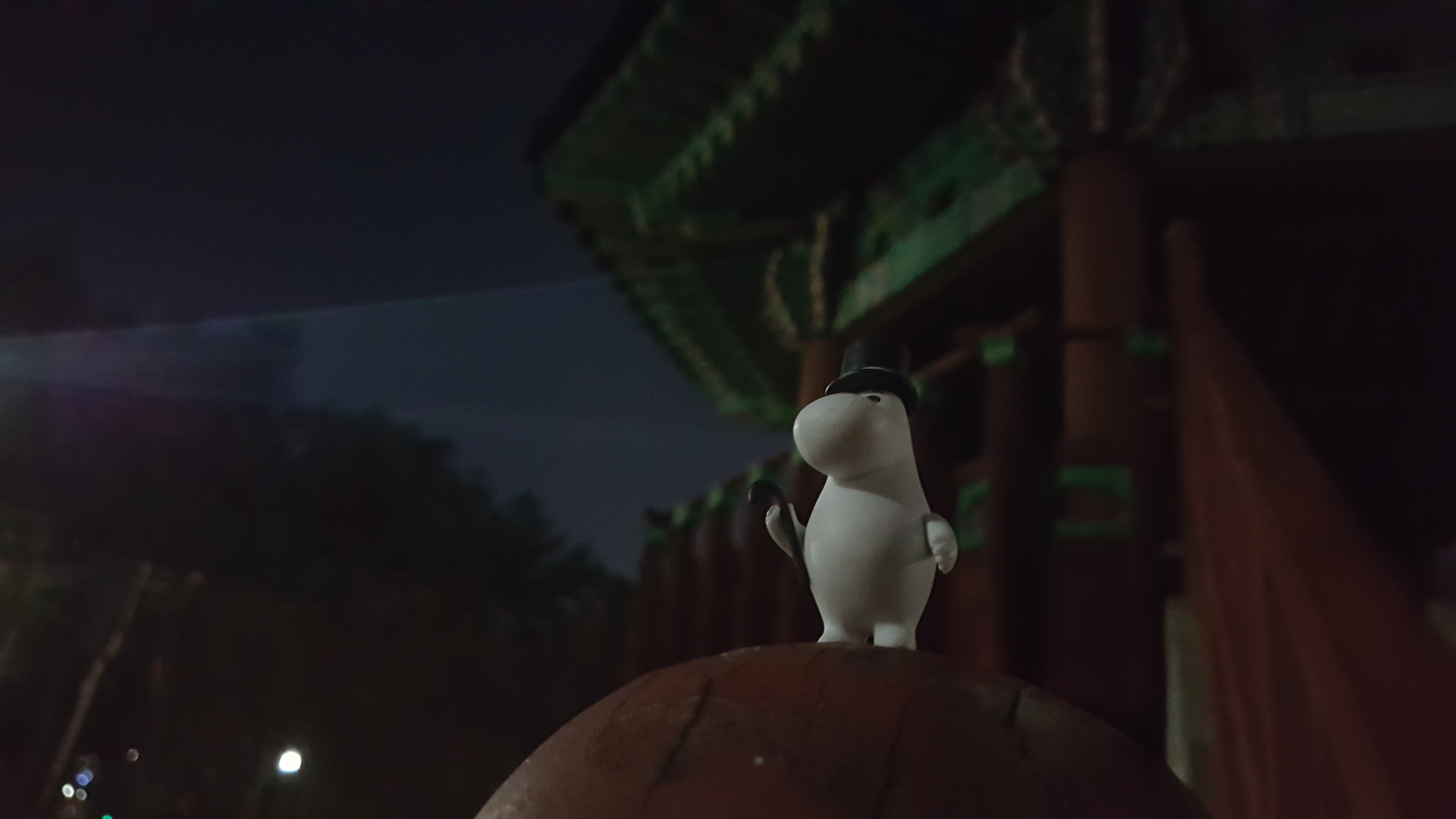 Safe Seoul Festival — official photograph 2