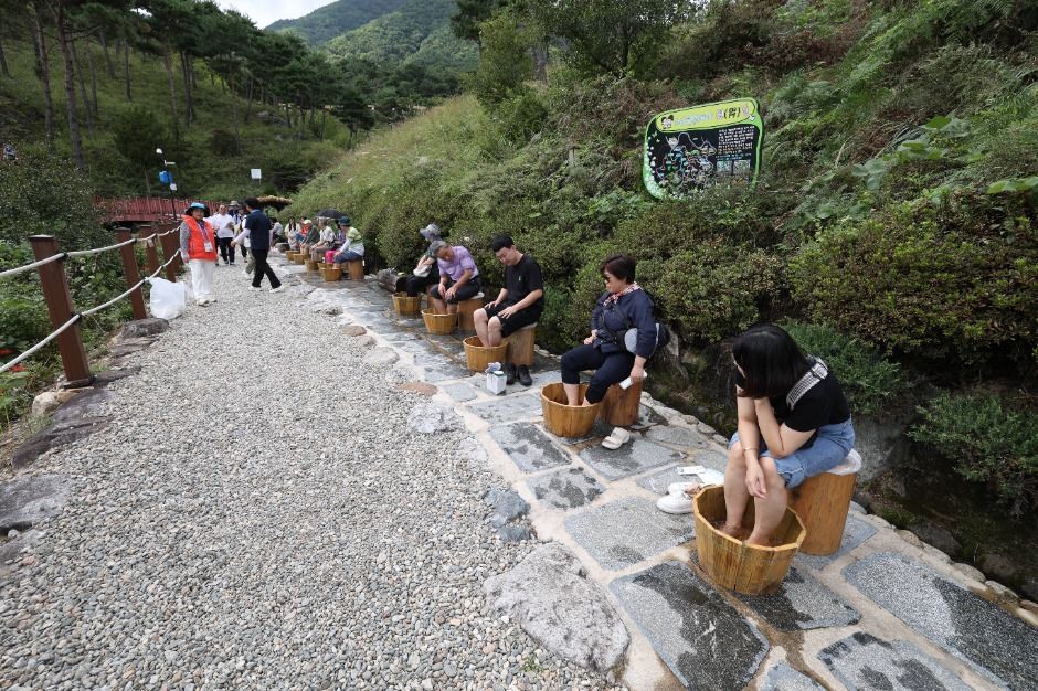 Sancheong Medicinal Herb Festival — official photograph 4