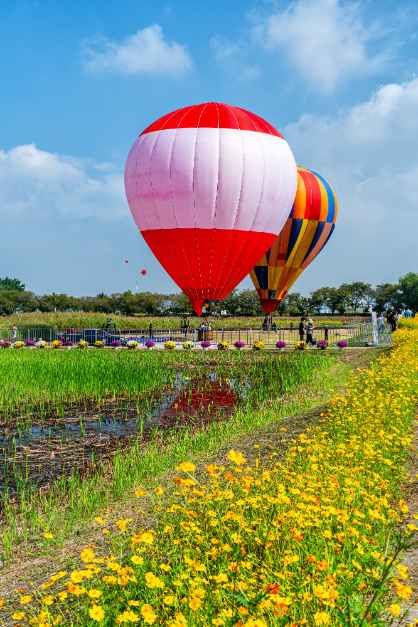 Siheung Gaetgol Festival — official photograph 2