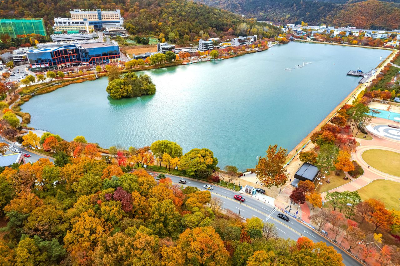Suseong Lake Festival — official photograph 2