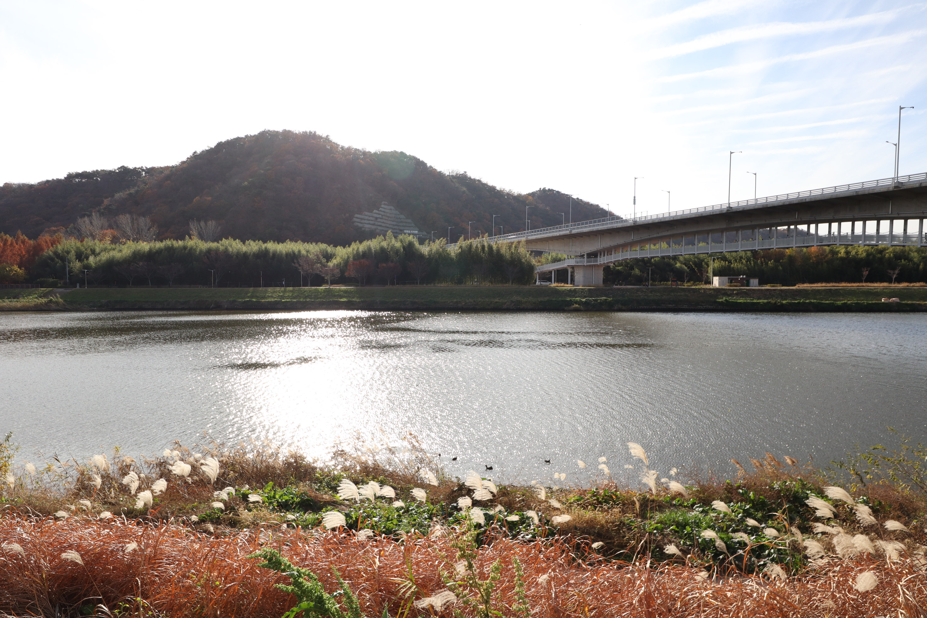Ulsan Taehwagang National Garden Autumn Festival — official photograph 2