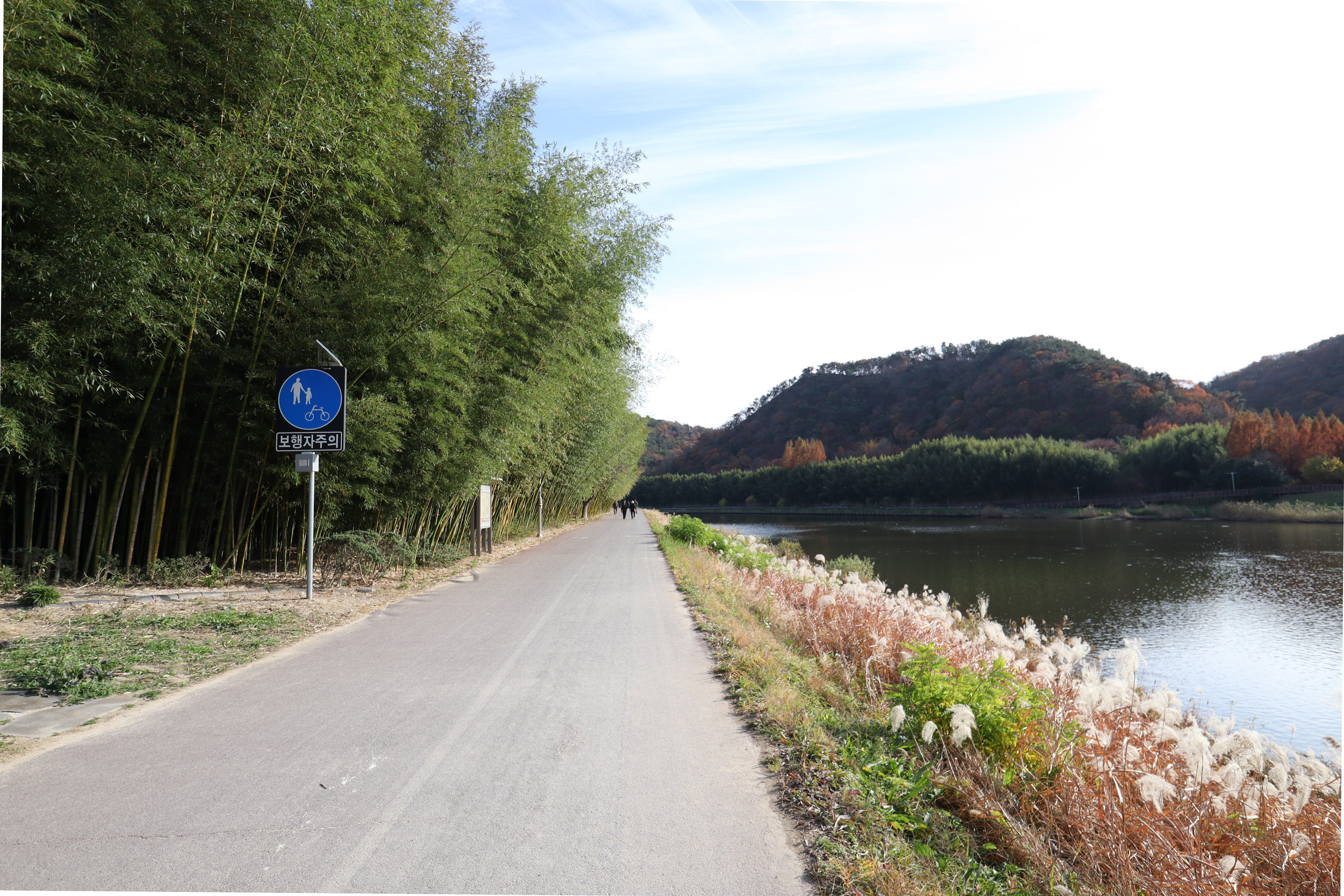 Ulsan Taehwagang National Garden Autumn Festival — official photograph 3