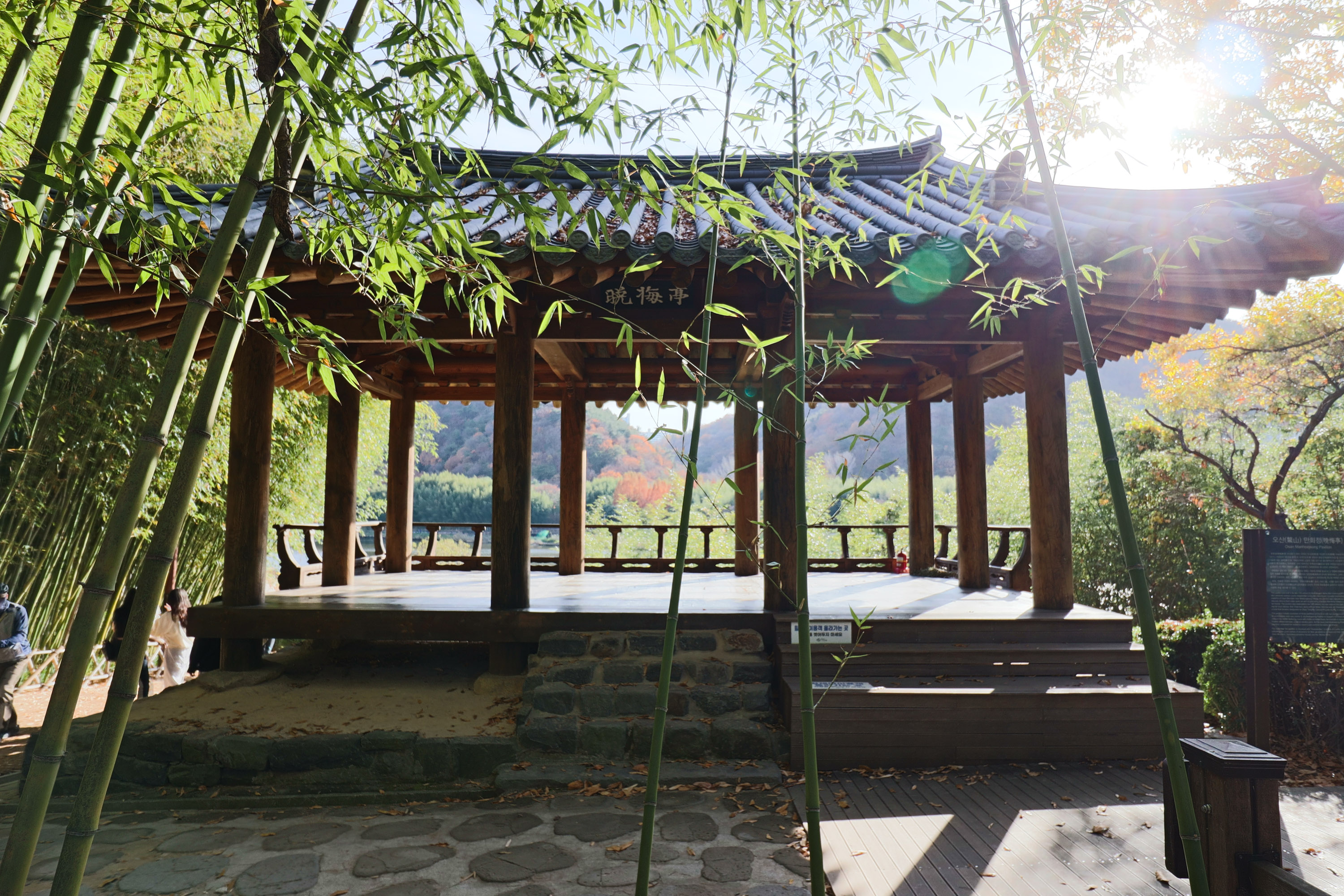 Ulsan Taehwagang National Garden Autumn Festival — official photograph 4