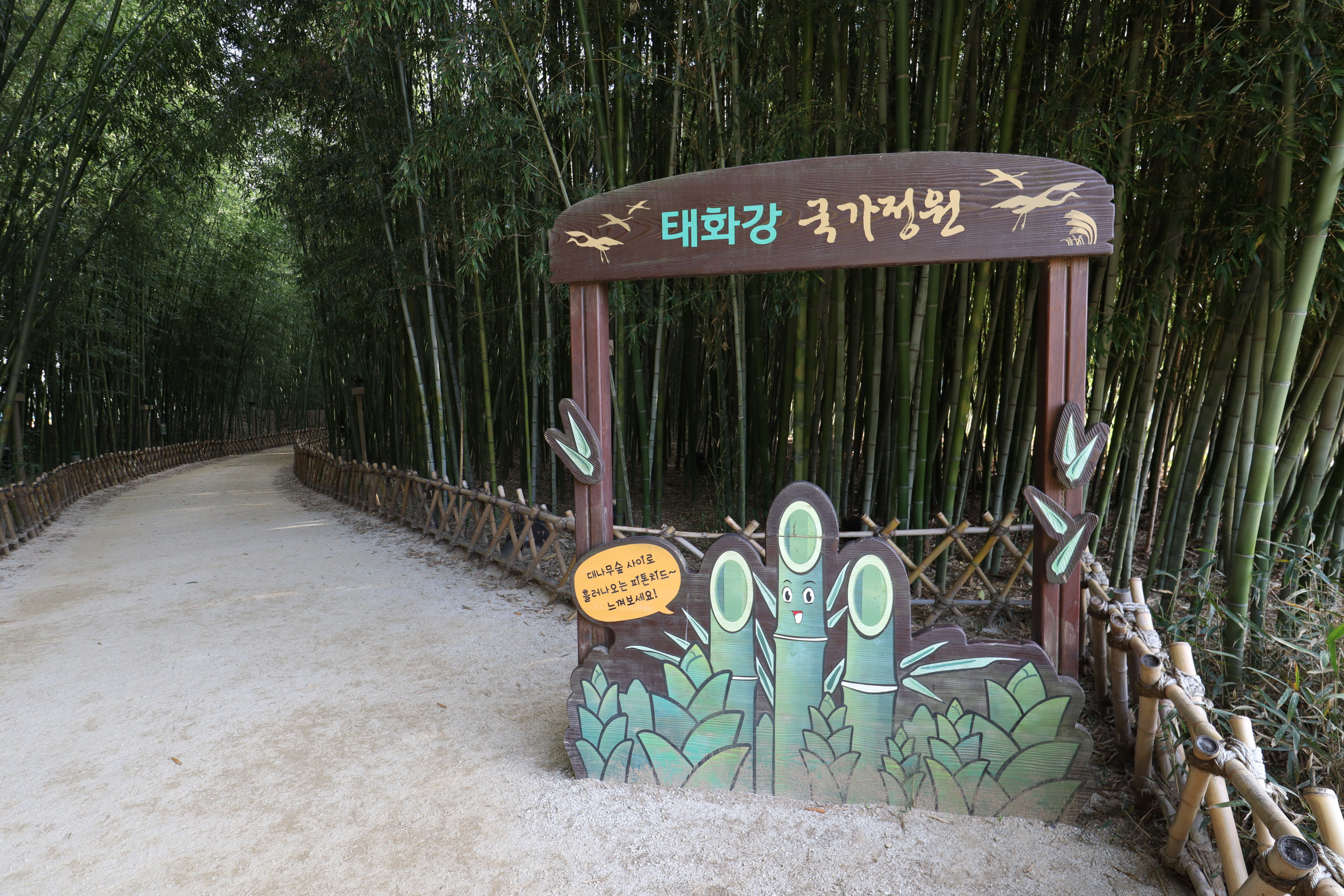 Ulsan Taehwagang National Garden Autumn Festival — official photograph 5