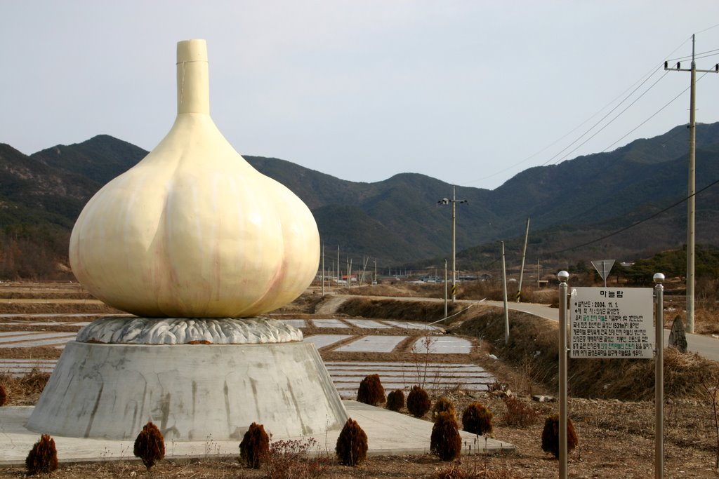 Uiseong Super Food Garlic Festival — official photograph 1