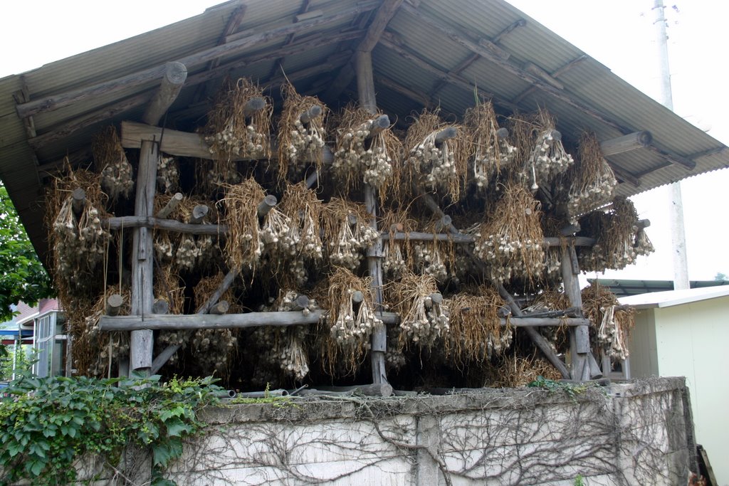 Uiseong Super Food Garlic Festival — official photograph 2