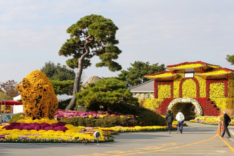 Wolchulsan Chrysanthemum Festival — official photograph 1