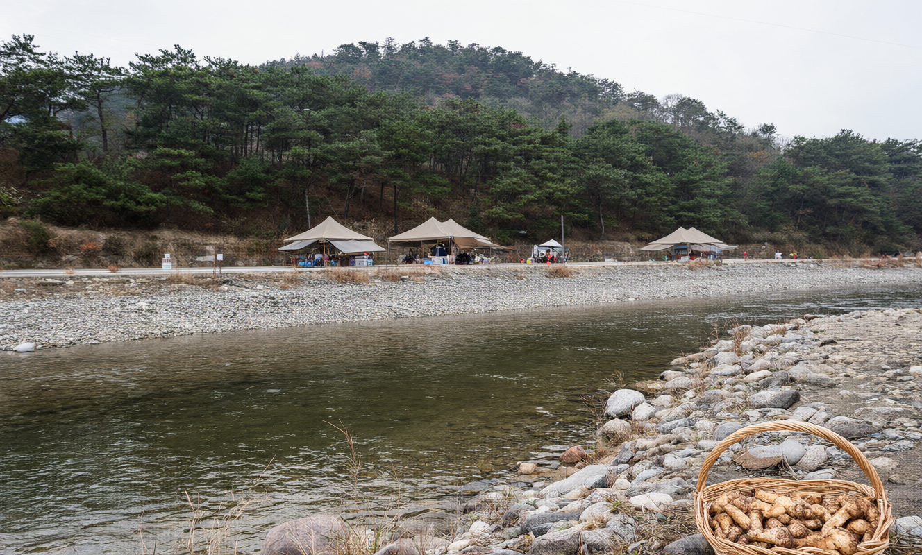 Yangyang Pine Mushroom & Salmon Festival festival