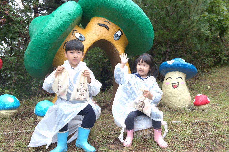 Yangyang Pine Mushroom & Salmon Festival — official photograph 1