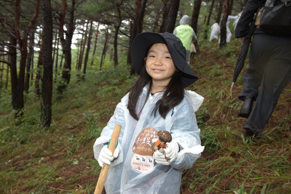 Yangyang Pine Mushroom & Salmon Festival — official photograph 2