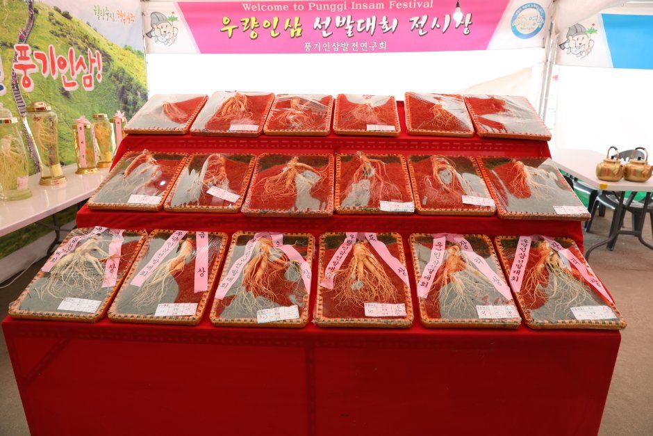 Yeongju Punggi Insam Festival — official photograph 2