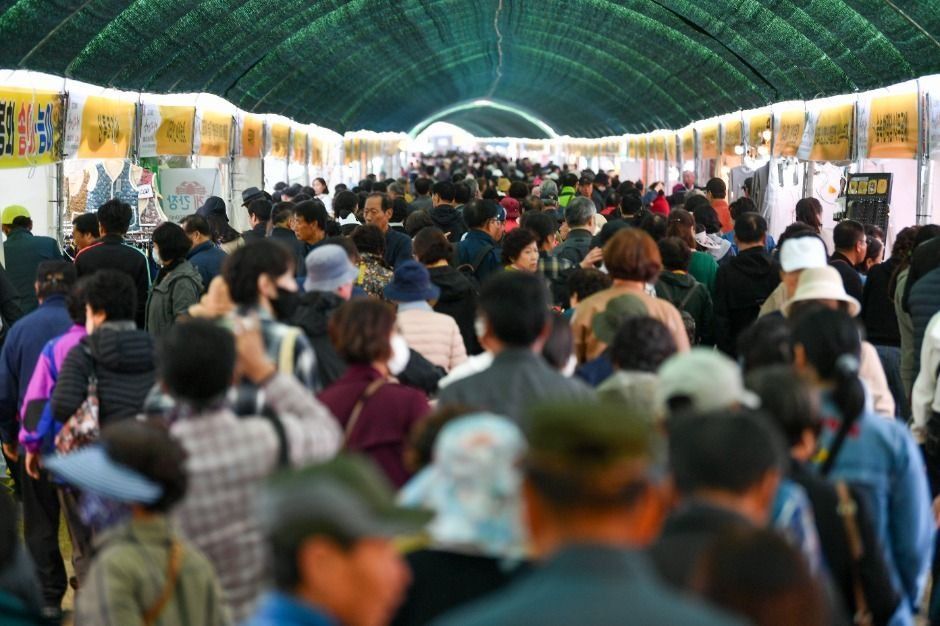 Yeongju Punggi Insam Festival — official photograph 4